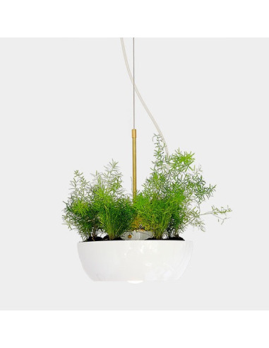 well planter light object interface